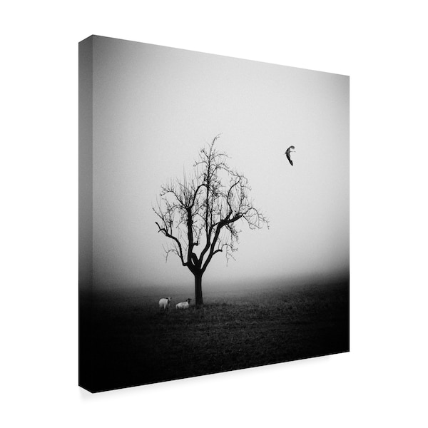 Holger Droste 'The Morning Mist' Canvas Art,35x35